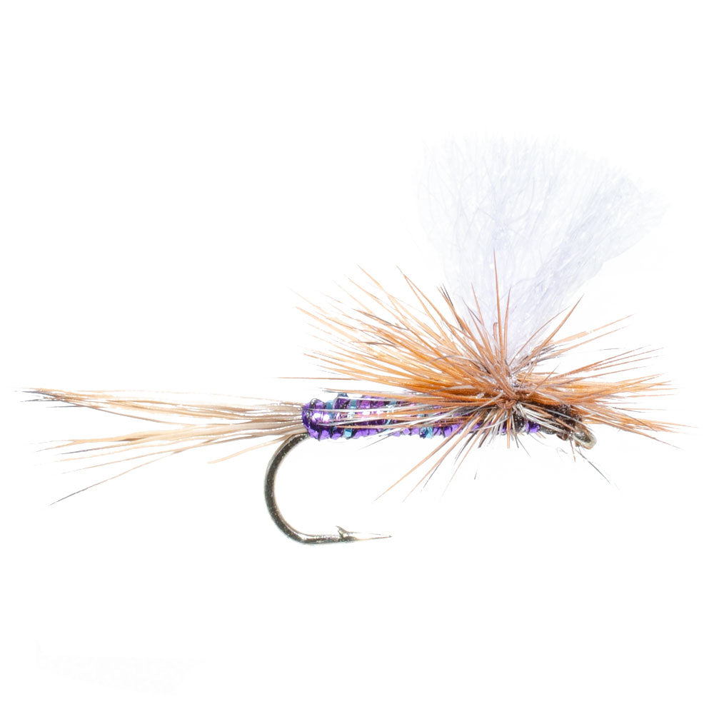 3 Pack Parachute Super Flash Purple Haze Dry Fly - Size 16