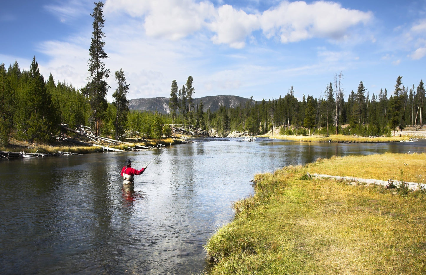 Carey Special Soft Hackle Grouse and Olive Wet Fly - 12 Flies Hook Size 10
