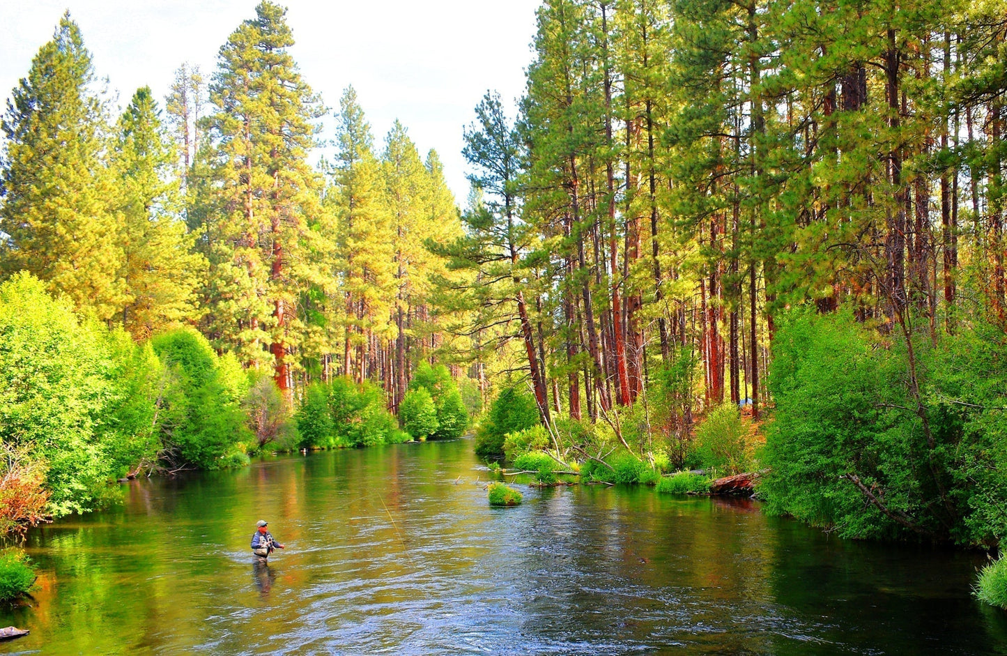 Tungsten Soft Hackle Pheasant Tail Tactical Nymph Euro Jig - 6 Flies Size 16