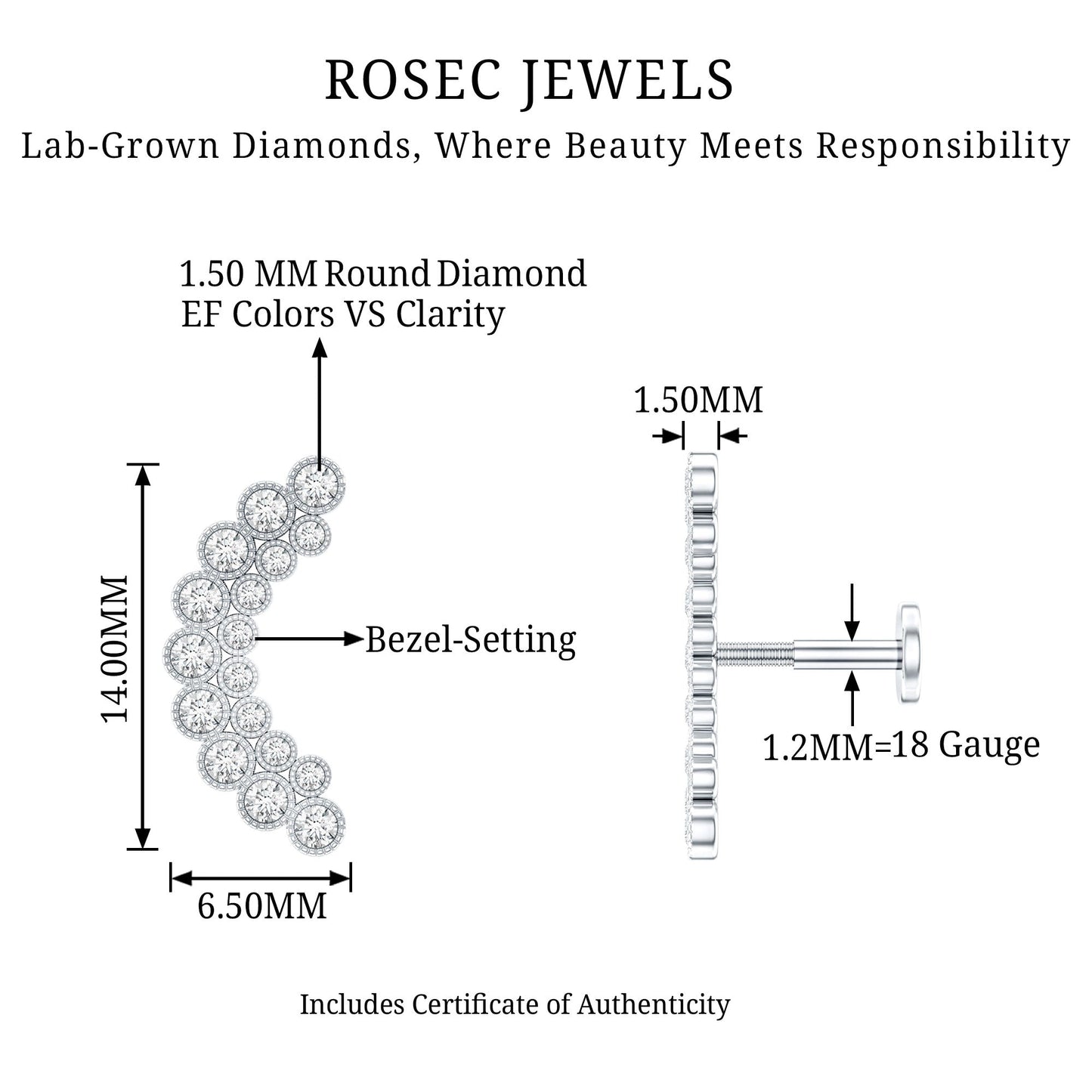 Diamond Curved Crawler Earring in Bezel Set