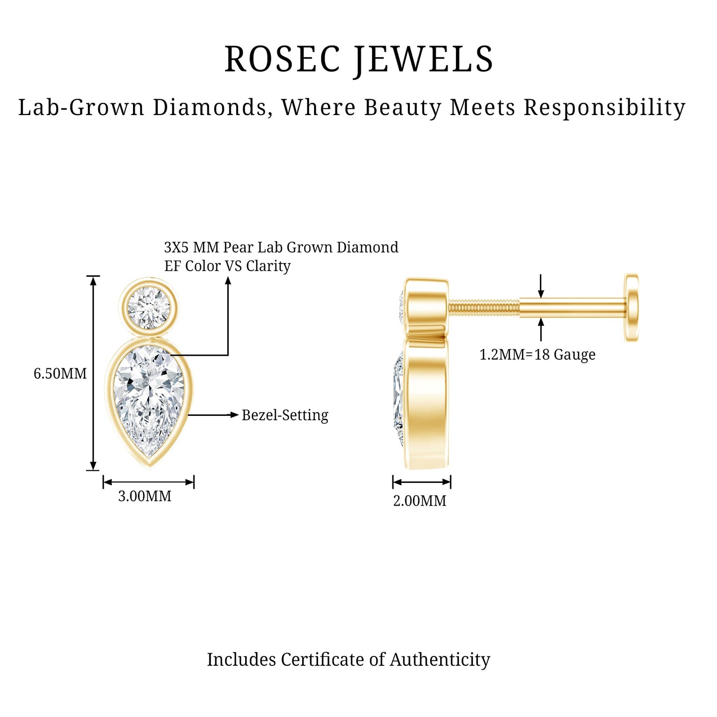 Pear Shape Diamond Two Stone Helix Earring