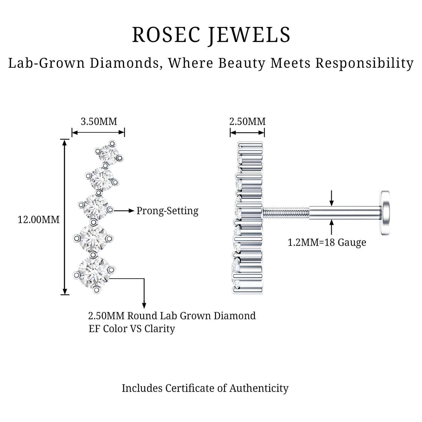 Minimal Graduated Diamond Crawler Earring