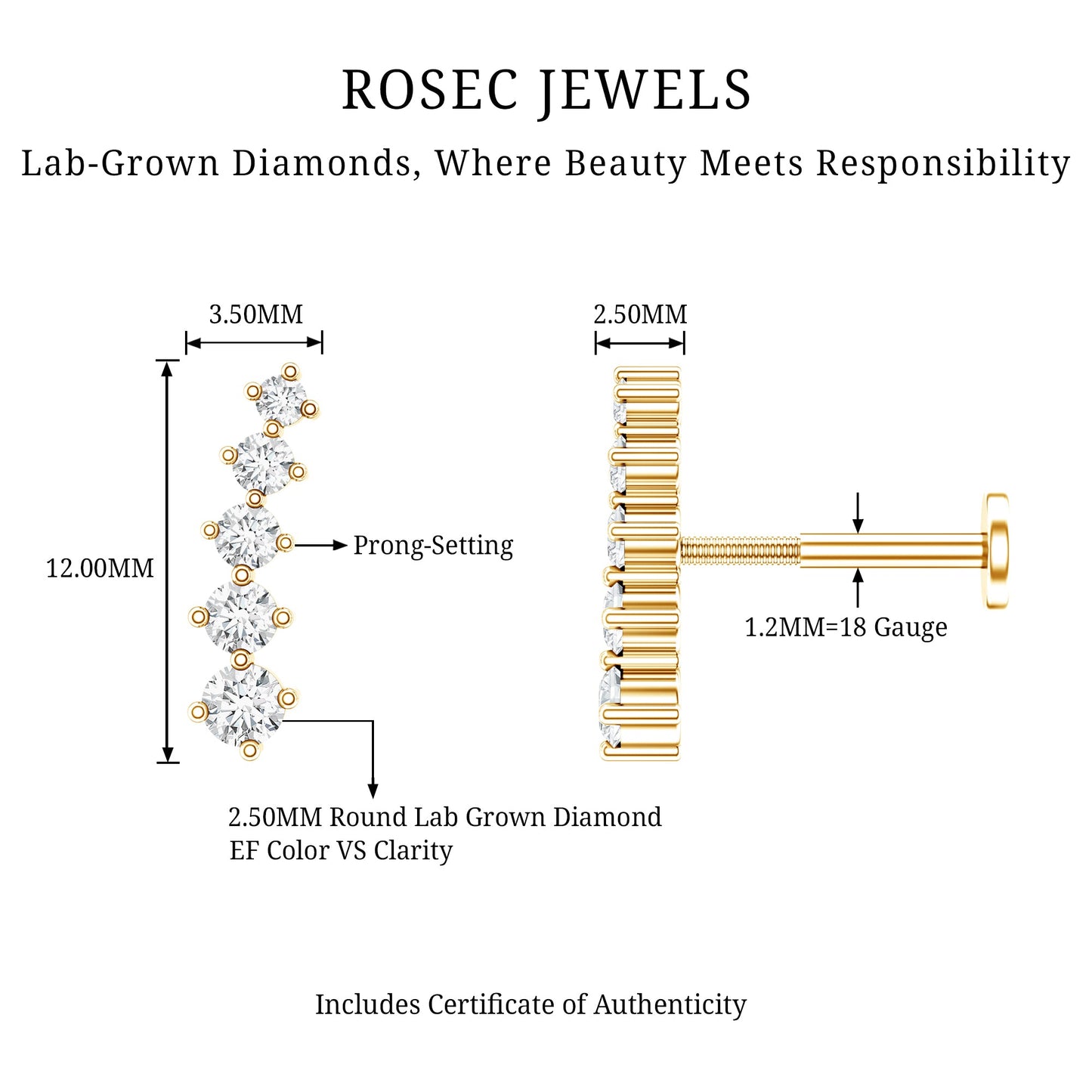 Minimal Graduated Diamond Crawler Earring