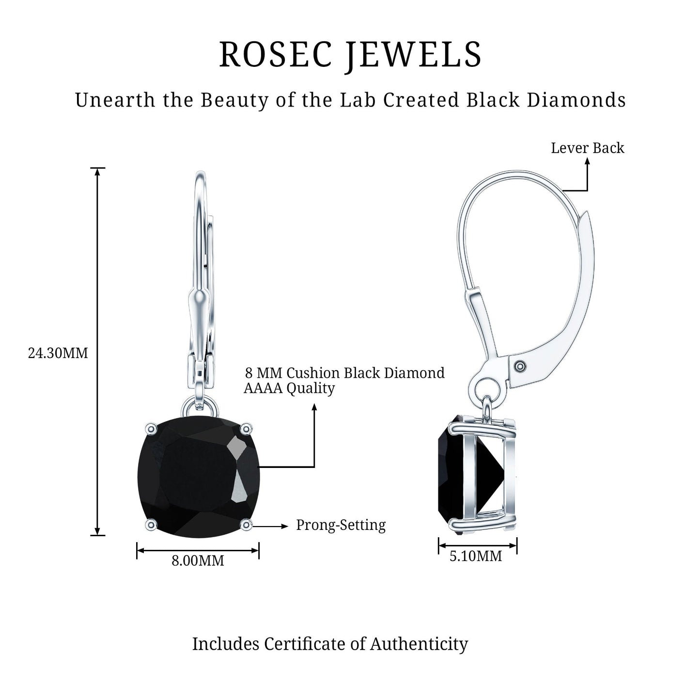 Lab Created Black Diamond Drop Earrings with Lever Back