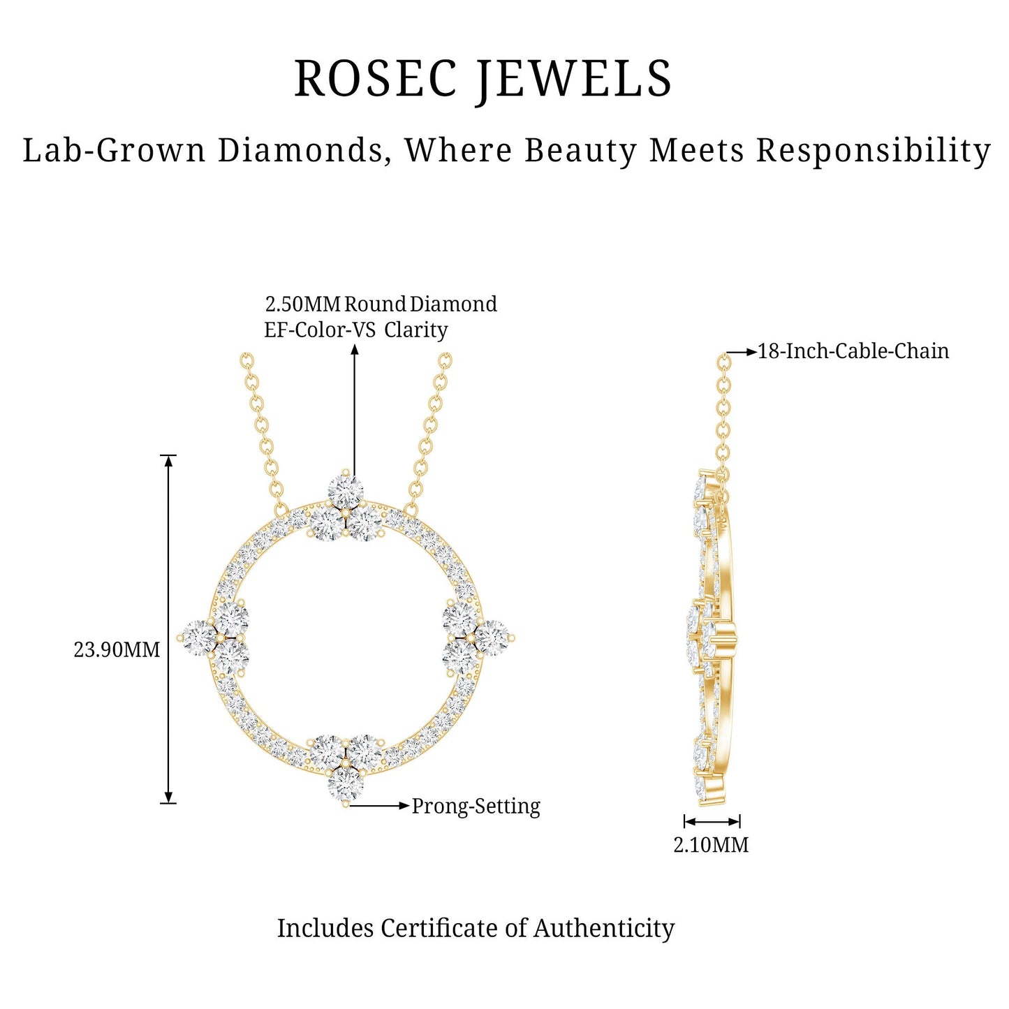 Certified Lab Grown Diamond Circle of Life Necklace