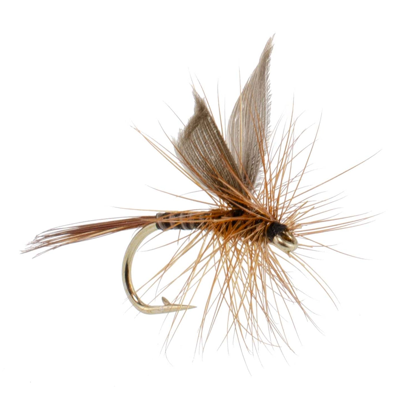 3 Pack Red Quill Classic Dry Fly - Size 16