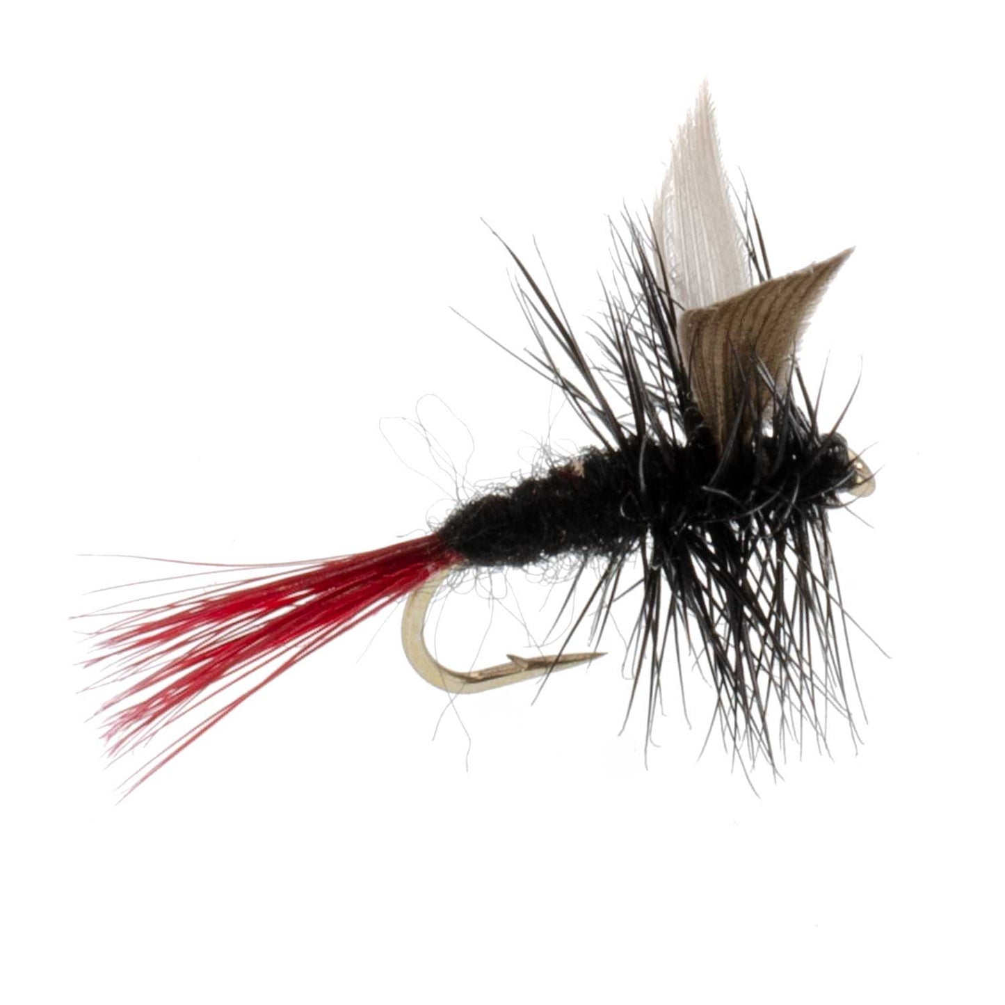 Red-Tailed Black Gnat Classic Dry Fly - 12 Flies Size 16