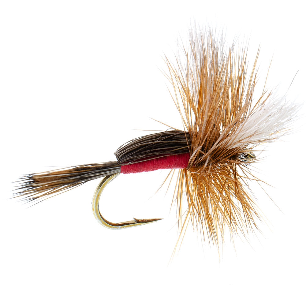 Royal Humpy Classic Hair Wing Dry Fly - 6 Flies Size 8