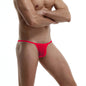 CLEVER-MENMODE Men's Sexy Lingerie Penis Bag Mini Underwear Ultra-Thin Transparent Panties Bikini Briefs Gay G-string Suspenders