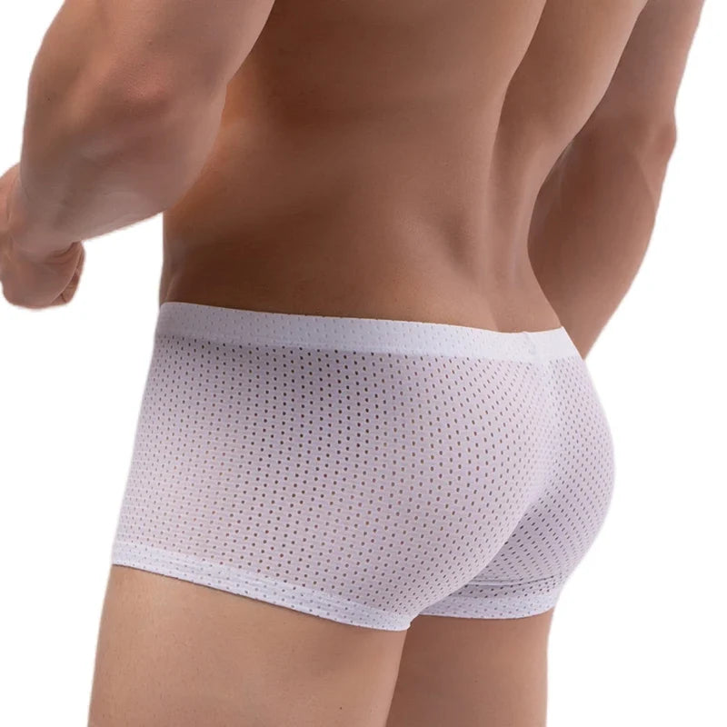 Men's Mesh Underwear Boxer Briefs See Through