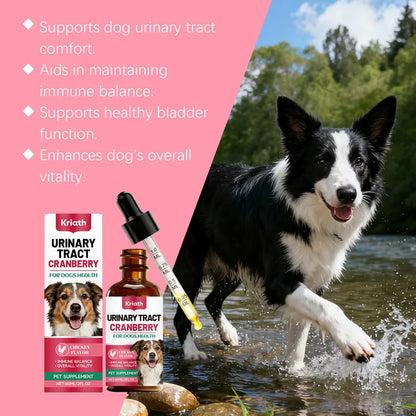Dog Body Care Drops Daily Care For Pet Health, Comfortable Daily Supplement Drops For Dogs