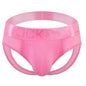 Open Back Sexy Men Underwear Briefs Underpants Nylon Mesh Quick Dry Gay Men's Jockstrap Bikini Slip Men Tanga Briefs Thong Swim