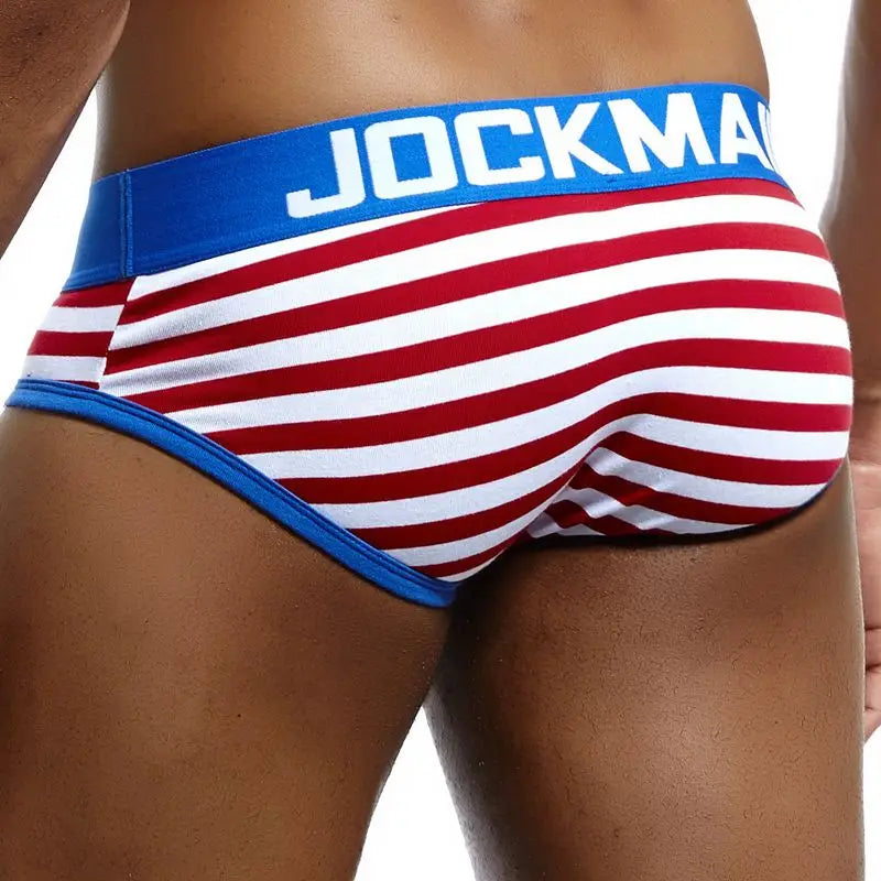 New Cotton Sexy Man's Underwear Briefs Underpants Breathable Men's Briefs Bikini Gay Underwear Male Underwear Slip Calzoncillos