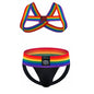 Sexy Mens Harness Underwear Sets Gay Underwear Lingerie Bondage Belts Fetish Mens Jockstrap Thong Rainbow Pattern for LGBTQ