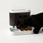 Automatic Pet Feeder Water Bowls Food Intelligent Electric Pet Food Dish Smart Timer Dog Bowl All-in-One Feeding Station