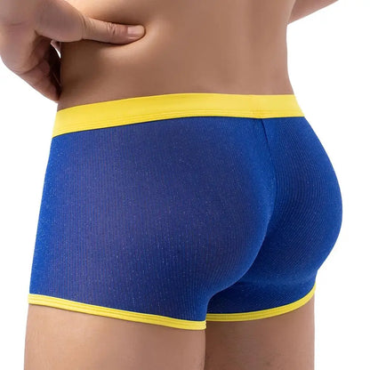 Men's Underwear Boxers Sexy Mesh Transparent Boxer Shorts Low Waist Breathable Panties Boxer for Man