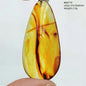 Natural Amber Pendant From Baltic Flower Yellow Amber Water Drop Women Men Jewelry Reiki Stone Women Men AAAAAAA