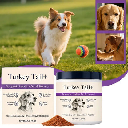 Dog Probiotic Intestinal Powder 100g Delicious Bacon Flavor Gut Flora Balance Digestive Support for Dogs Nutritional Supplement