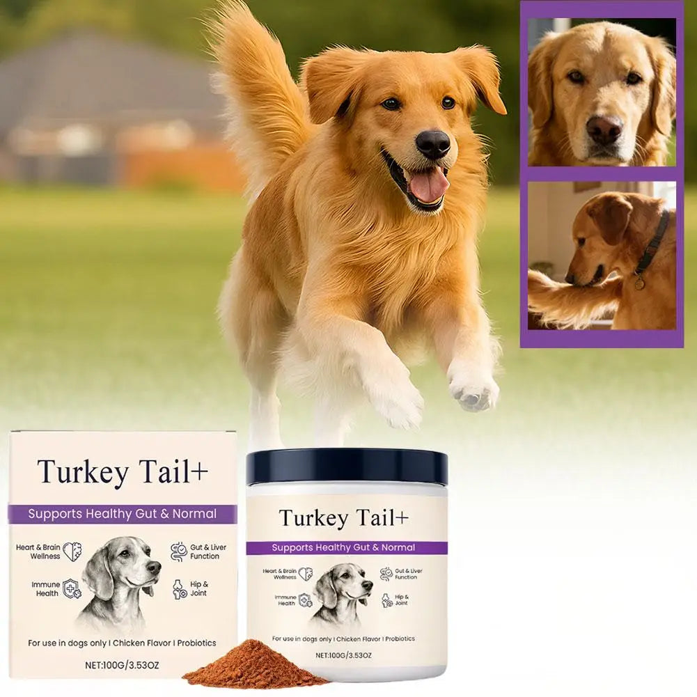 Dog Probiotic Intestinal Powder 100g Delicious Bacon Flavor Gut Flora Balance Digestive Support for Dogs Nutritional Supplement
