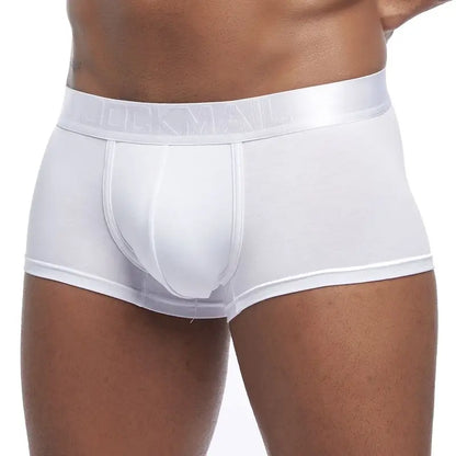 Underwear Men Boxers Men's Clothing Men Shorts Man Panties Boxershorts Boxer Hombre Ropa Interior Hombre  Modal Breathable