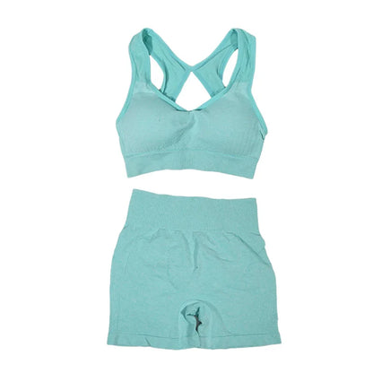 Yoga Women's Fitness Suit Shorts Workout Set