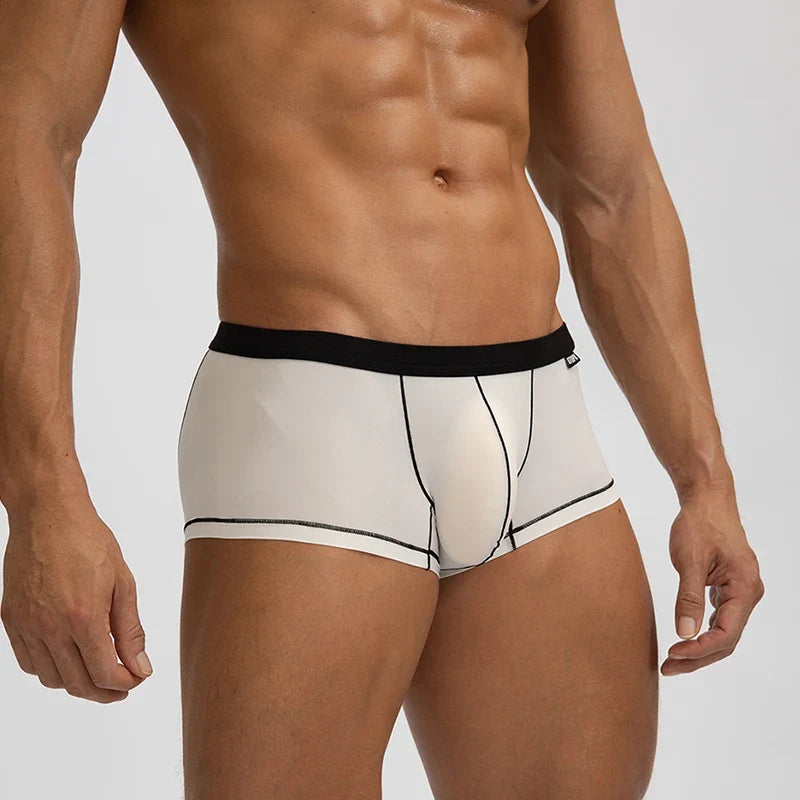 Thin Seamless Man Boxers Ice Silk Men's Panties Quick Dry Boxer Shorts Underwear Male Luxury Sexy U Bulge Pouch Underpants Cueca