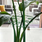 1Pc Large Monstera Plant Support Frame Sturdy Climbing Stems Leaf Stabilizer Outdoor Use for Tall Houseplant Hanging Plant Stand
