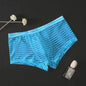 Men's Transparent Boxers Mesh Striped Underwear Low Waist Ultra-Thin Bikini Sexy Breathable Underwear Summer 3d Crotch Boxer
