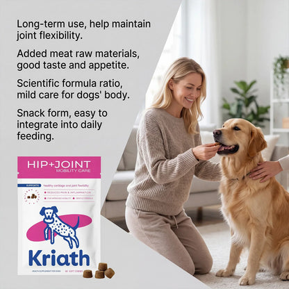 Dog Joint Supplement Soft Chews Cartilage Care Immune Boost Mobility Support Joint Care Support Immune System For All Ages Puppy