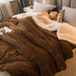 Sherpa Blanket Twin Warm Bed Blanket for Winter Cozy Soft Fuzzy Couch Throw Flannel Fleece/Wool Like Reversible Plush Blanket