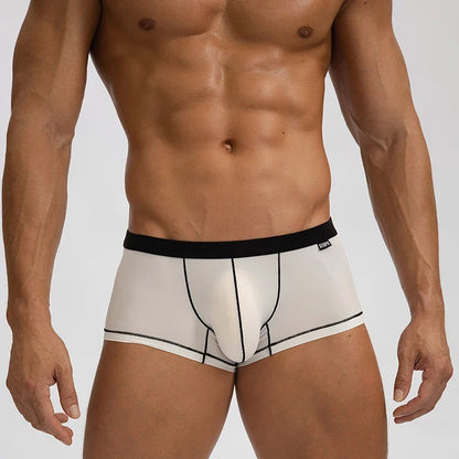 Thin Seamless Man Boxers Ice Silk Men's Panties Quick Dry Boxer Shorts Underwear Male Luxury Sexy U Bulge Pouch Underpants Cueca