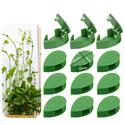 20pcs Plant Climbing Wall Fixture Rattan plants growth climb traceless vine fixing tool Self-Adhesive Green Clip Traction Holder