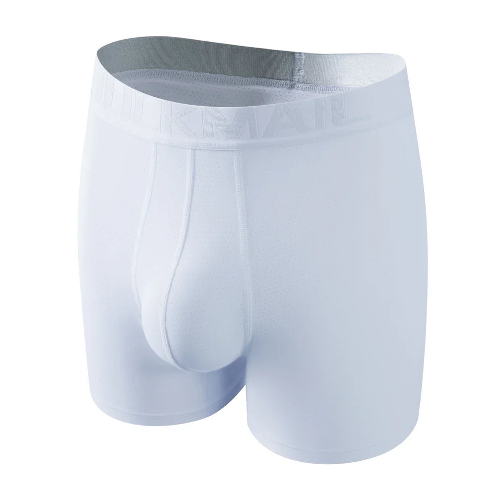 Sexy Men Underwear Men's Boxer 3D Hammock-shaped Pouch Designed Breathable Mesh Panels Men Boxershorts Trunk Male Underpants