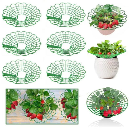 1/3pcs Round Strawberry Stand Anti-Corrosion Anti-Ground Strawberry