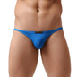 BRAVE PERSON Sexy Underwear Men Mini Briefs Low Waist Sexy Underpants Smooth Ice Silk Nylon Male Panties Bikini Briefs B1133