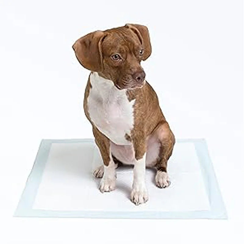 Leak Proof Dog Puppy Potty Pads, 5-Layer Quick Dry High Absorbency, Extra Large Blue White Disposable Training Mats