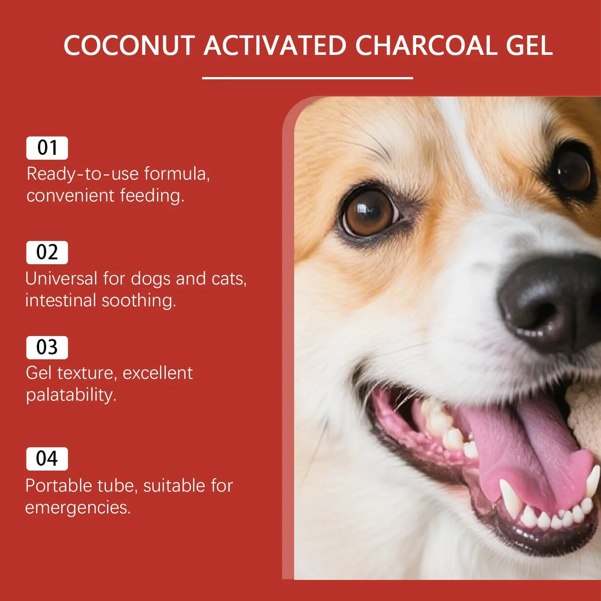 Coconut Shell Care Gel for Dogs Cats Intestinal Support Digestive Health Supplement Relief Digestive Balance Gut Health Care