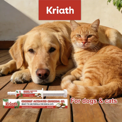 Coconut Shell Care Gel for Dogs Cats Intestinal Support Digestive Health Supplement Relief Digestive Balance Gut Health Care
