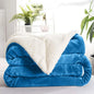Sherpa Blanket Twin Thick Warm Blanket for Winter Bed Super Soft Fuzzy Flannel Fleece/Wool like Reversible Velvet Plush Blanket