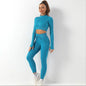 Women's Seamless Fitness Yoga Suit Set