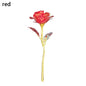 5/10/20pcs 24K Foil Plated Rose Valentine's Day Creative Gift Gold Rose Lasts Forever Love Wedding Decor Lover Lighting Roses
