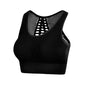 Seamless Mesh Women's Sports Bra Yoga Top