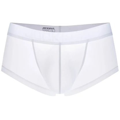 Sexy Underwear Men Boxer Panty Shorts Ice Silk Original  Panties Breather Boxer Briefs Ultra-thin Transparent Fun Gay Underwear