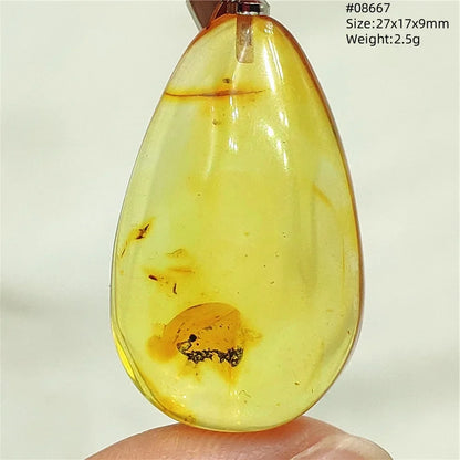 Natural Amber Pendant From Baltic Flower Yellow Amber Water Drop Women Men Jewelry Reiki Stone Women Men AAAAAAA