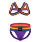 Sexy Mens Harness Underwear Sets Gay Underwear Lingerie Bondage Belts Fetish Mens Jockstrap Thong Rainbow Pattern for LGBTQ