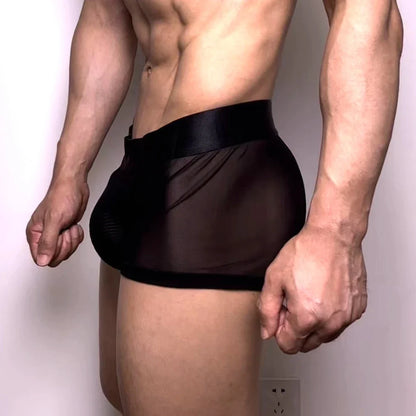 Breathable Men Underwear Elastic Men Sof Boxers Man Sexy Panties Underwear Man Men Underpants Thin Transparent Mesh Ice Silk