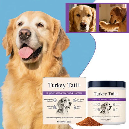 Dog Probiotic Intestinal Powder 100g Delicious Bacon Flavor Gut Flora Balance Digestive Support for Dogs Nutritional Supplement