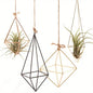 4 Air Plant Stands, Hanging Metal Geometric Stands, Plant Garden Stands, Suitable for Indoor Decoration, Holiday Displays