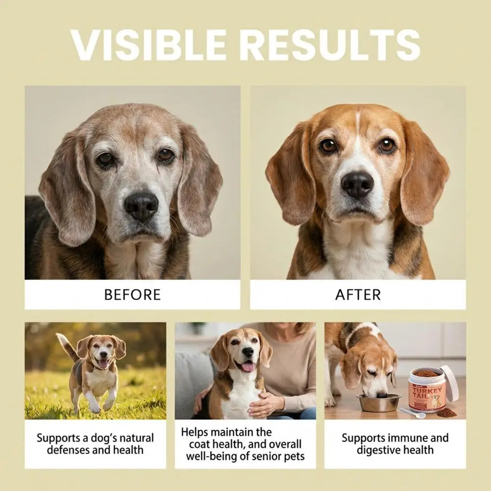 Tarkey Tail Pet Supplement For Dogs Bacon Flavored Probiotics Immune Support Elderly Dog Maintenance Joint Intestinal Skin Care
