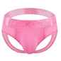 Sexy Men Thong Underwear Jockstraps Crotchless Underpants Low Waist Bikini Panties Mesh Elastic Thread Skin Friendly Lingerie